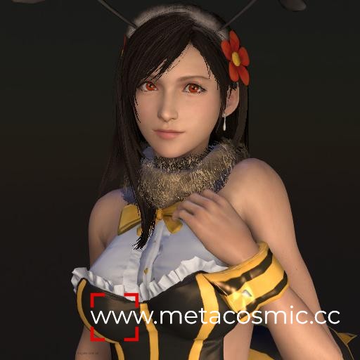 OniEkohvius - Tifa (Hachi).jpg