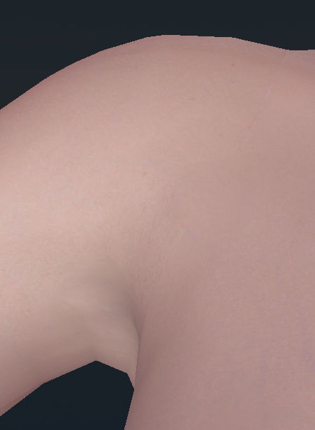 88c2f8ca46fec.jpg