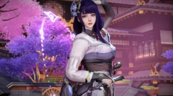 Dnaddr.Lei__RaidenShogun_v2_P_25_3_14